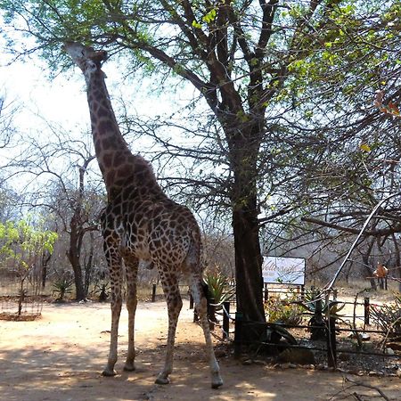 Weltevrede Lodge - Self Catering Houses Marloth Park Esterno foto