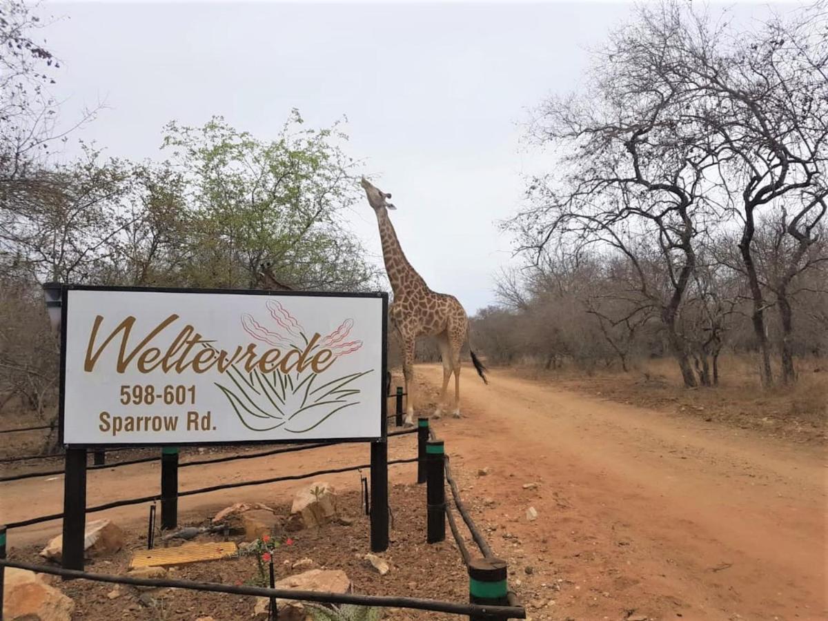 Weltevrede Lodge - Self Catering Houses Marloth Park Esterno foto