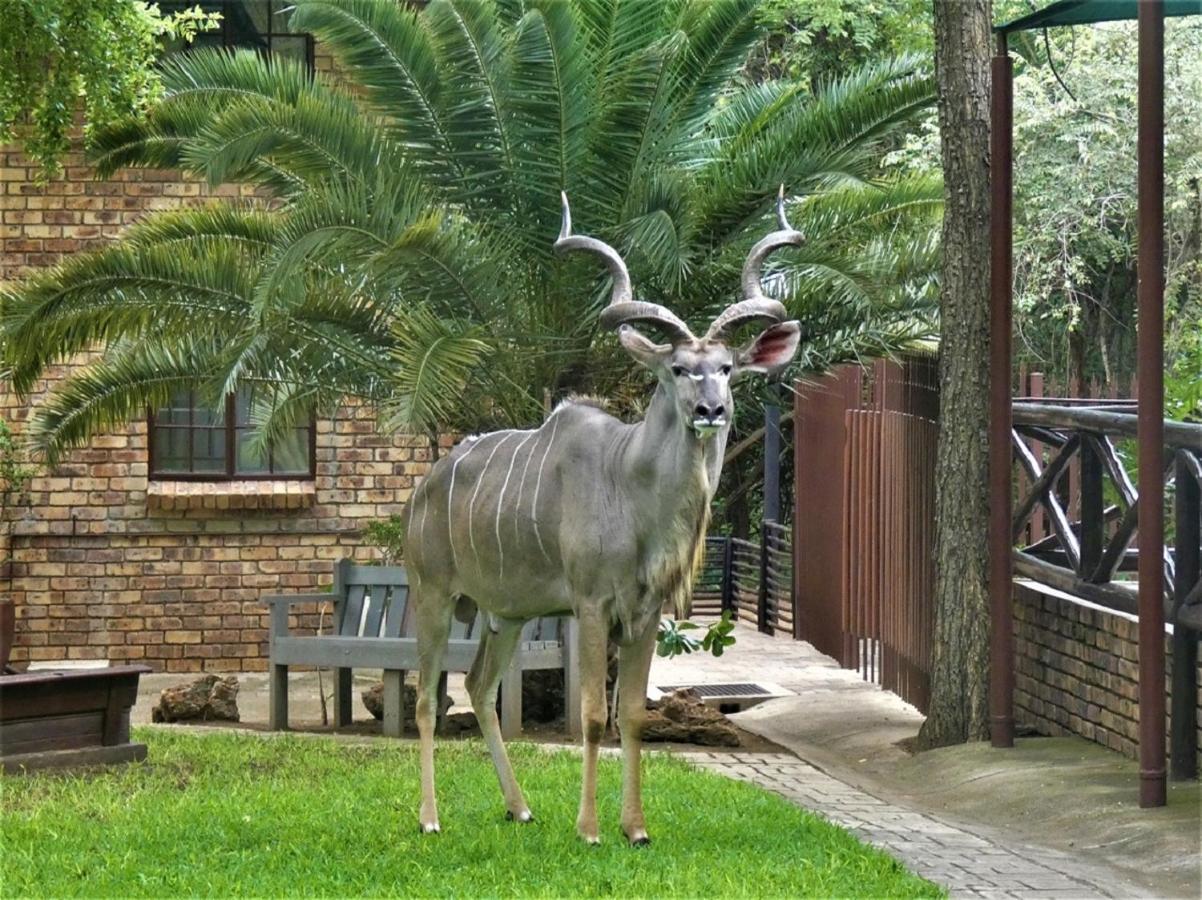 Weltevrede Lodge - Self Catering Houses Marloth Park Esterno foto
